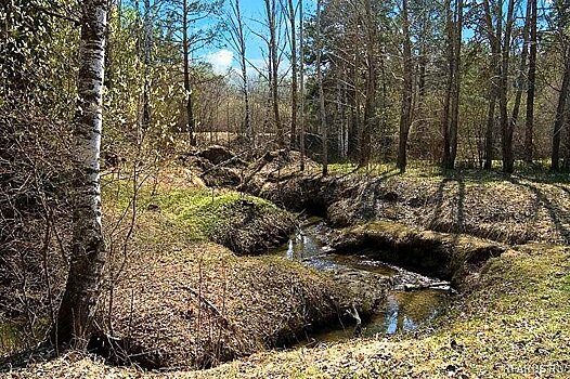 Фирма заплатит 100 тысяч рублей за изменение водотока реки в Новосибирске