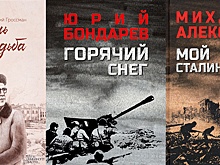 Писатель Павел Басинский назвал топ своих книг о войне