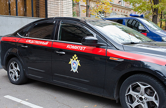 Инцидент с полицейскими и детьми в Москве: подробности и мнение основателя сети детсадов