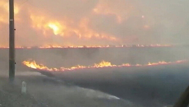 Три лесных пожара тушат в Забайкалье на площади свыше 8 тыс. га