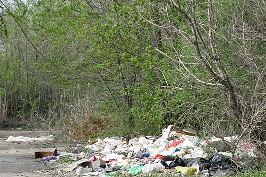 Волгоградцев зовут в лесополосы на сбор мусора и валежника перед ЧМ-2018