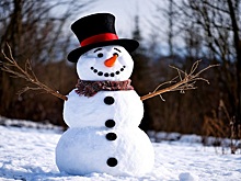 Екатеринбург снова стал ареной для резонансных арт-объектов-«членовиков»