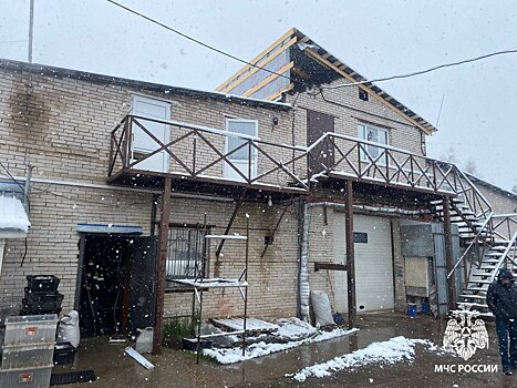 В Ижевске вновь спасли тараканов и сверчков из пожара