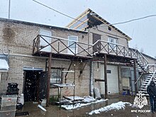 В Ижевске вновь спасли тараканов и сверчков из пожара