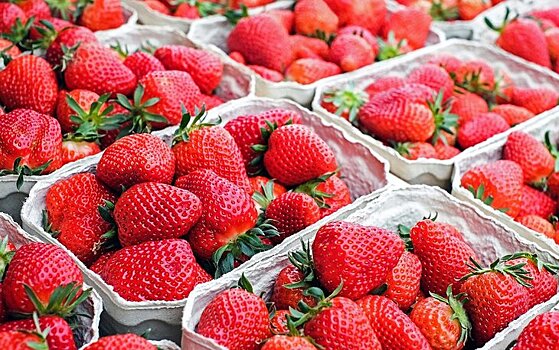 Производство ягод: как менялся рынок за последние 5 лет