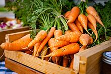 Как выбрать самую полезную морковь