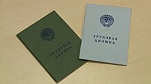 Большинство пензенцев предпочитает обычные трудовые книжки