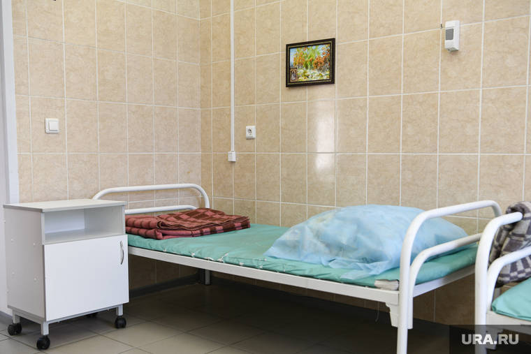 Минздрав: клопы в пермской больнице появились из-за плохой обработки