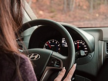  Власти ищут перевозчиков для четырех троллейбусных маршрутов в Ростове