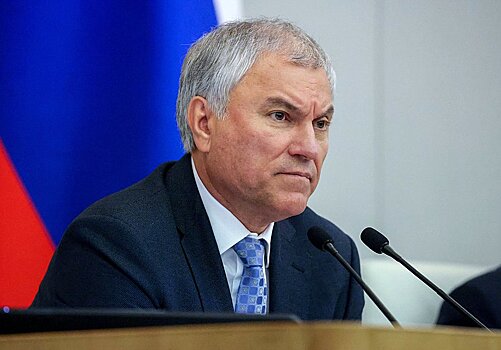 Володин: закон о пожизненном сроке за вовлечение детей в диверсионную деятельность принят в интересах безопасности страны