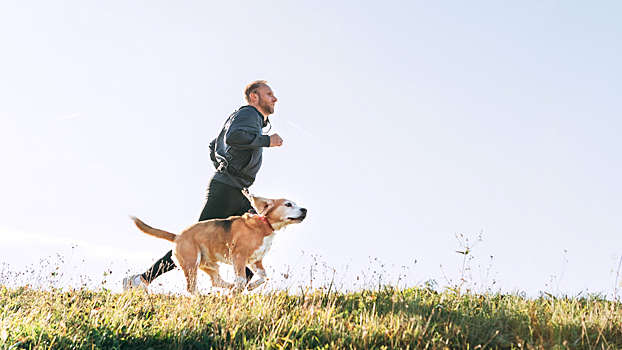 Ходьба короткими перебежками оказалась энергозатратнее непрерывной