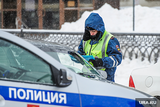 Полицейские, задержавшие в Кыштыме вооруженного преступника, получат поощрение