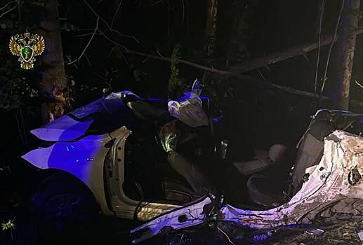 Россиянин без прав устроил летальное ДТП на авто с пятью пассажирками