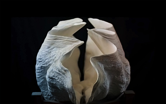 Раковины помогли определить климат на древней Земле