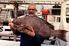 Рыболов поймал самого большого в мире морского окуня