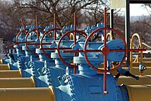На Украине раскрыли сроки закупки газа у России