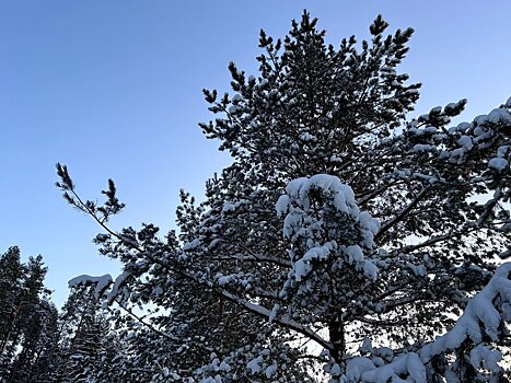Синоптики дали кировчанам прогноз на воскресенье