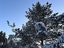 В Кирове ожидается небольшой снег