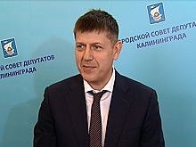 В Калининграде запретили стихийные кладбища домашних животных