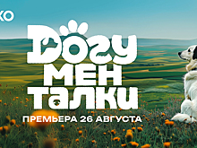 В Okko появилась уникальная серия фильмов для собак