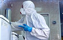 46 новых случаев коронавируса выявлено на Ямале за сутки