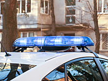 Полиция проверит сведения об избиении ребенка в Москве