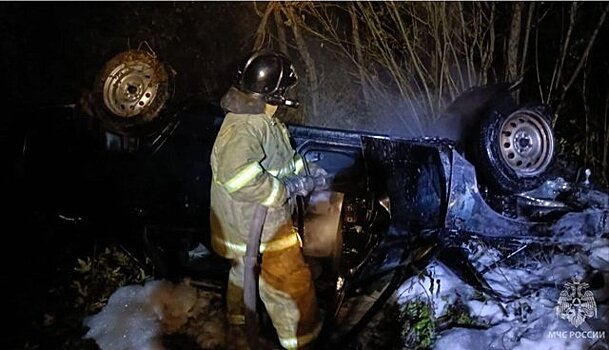 В Кировской области на трассе после столкновения с лосем вспыхнул автомобиль