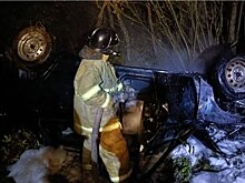 В Кировской области на трассе после столкновения с лосем вспыхнул автомобиль