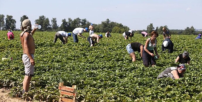 Правительство утвердило паспортизацию земель сельхозназначения в РФ