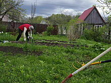 Депутат Милонов призвал обеспечить садоводов льготными и бесплатными семенами