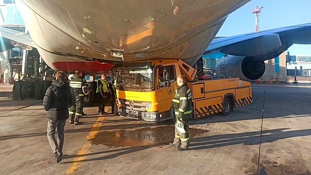Внезапно парализованный водитель водовоза врезался в самолет в Домодедово