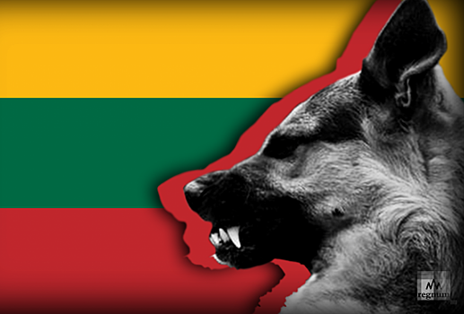 Преследование антифашистов в Литве: кому это выгодно?