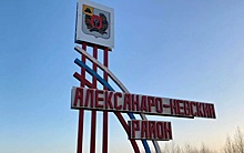 В Рязанской области ввели карантинный фитосанитарный режим из-за повилики