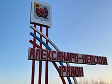В Рязанской области ввели карантинный фитосанитарный режим из-за повилики