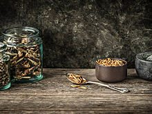 В швейцарских супермаркетах появятся котлеты из червей