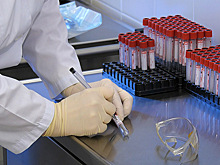 «Жизнь в твоих руках». Проект ноябрьских волонтёров-медиков отметили на всероссийском уровне