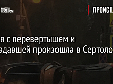 Авария с перевертышем и пострадавшей произошла в Сертолово
