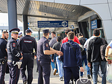 Псковские полицейские реадмиссировали 29 иностранцев, находящихся в России незаконно