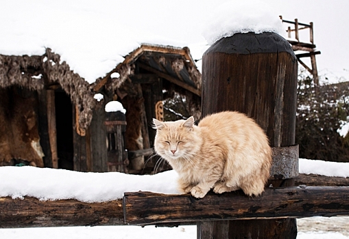 В Крыму заявили о готовности жилфонда к зиме на 87%