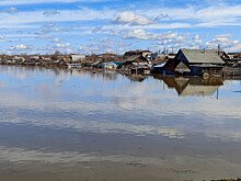 Новости за ночь, которые вы могли пропустить: уход воды из Кургана, прогноз плюс 20 в Москве и муравей Волдеморт