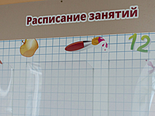 Онлайн-занятий в Томских школах будет минимум