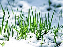 К чему ведут климатические изменения на пространстве Беларуси