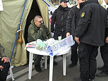 "Михомайдан" стоит за импичмент