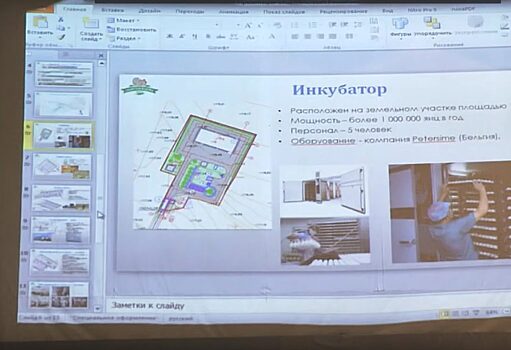 В новосибирской Колывани намерены провести референдум о строительства птицекомплекса