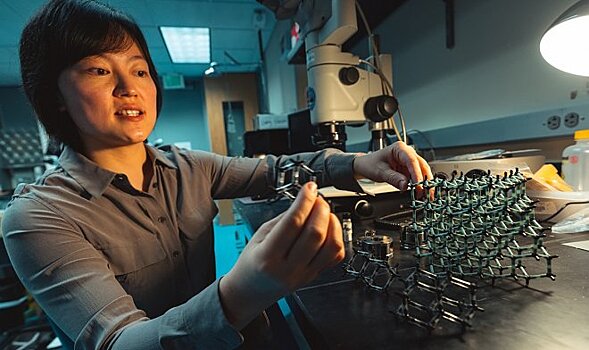 Найден способ создавать алмазы из нефти