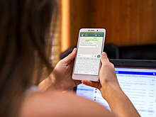 Депутат Немкин: вредоносные версии WhatsApp выдают за обновления с улучшениями