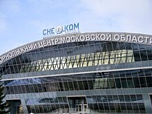 Депутаты попросят ГП и власти Подмосковья оценить ситуацию с комплексом "Снеж.ком"