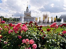 Экспозиции под открытым небом