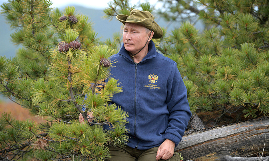 2019 год. Президент РФ Владимир Путин на прогулке в тайге.