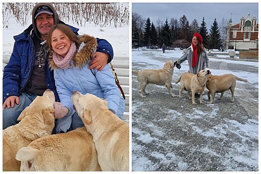 Чиновники Новосибирска прокомментировали установку памятника владельцу лабрадоров